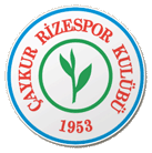 Wappen von �aykur Rizespor