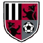 Wappen von Syracuse Salty Dogs